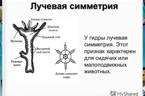 Ссылка на сайт кракен в тор браузере