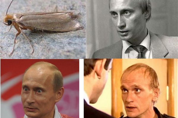 Кракен наркошоп сайт