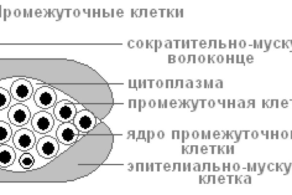 Гидра в даркнете