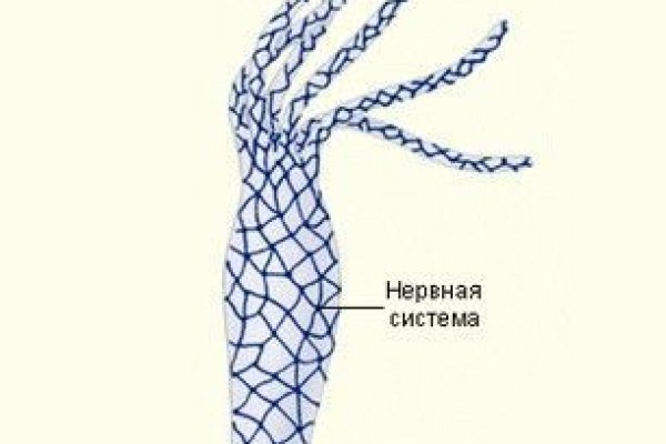 Кракен стор
