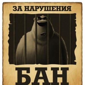 Найти зеркало кракена
