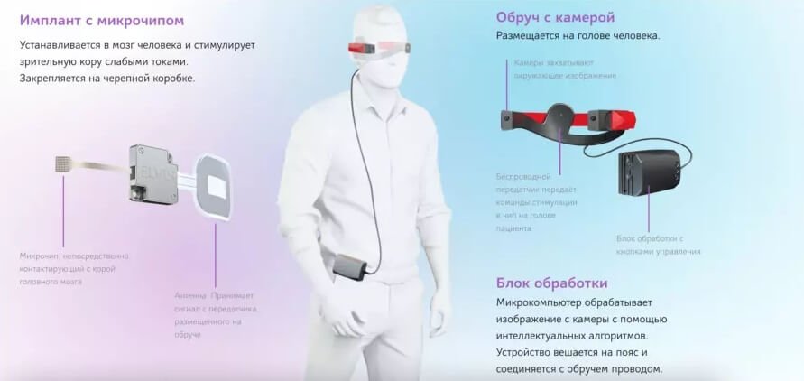 Кракен сайт дарк нет